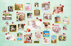 Diseño de collage de Pimpelmees